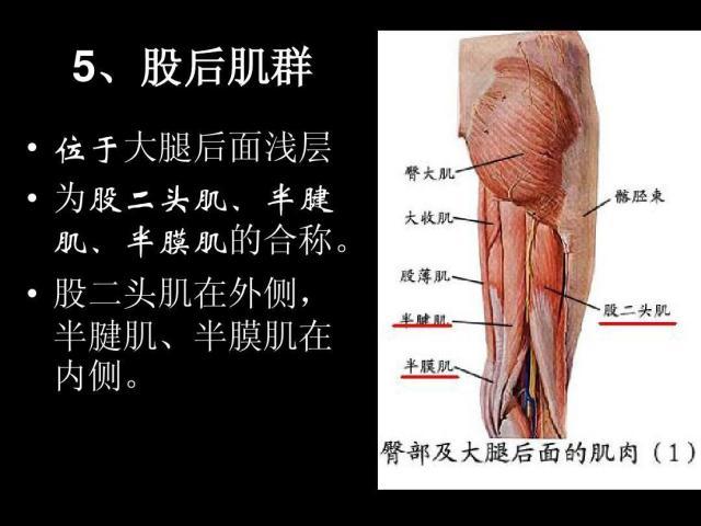 开云-阿尔卡拉斯和德约的共同体会：大腿后侧太重要了！